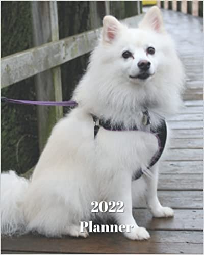 2022 Planner: American Eskimo Dog-12 Month Planner January 2022 to December 2022 Monthly Calendar with U.S./UK/ Canadian/Christian/Jewish/Muslim ... in Review/Notes 8 x 10 in.- Dog Breed Pets indir