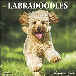 ダウンロード  Just Labradoodles 2020 Calendar 本