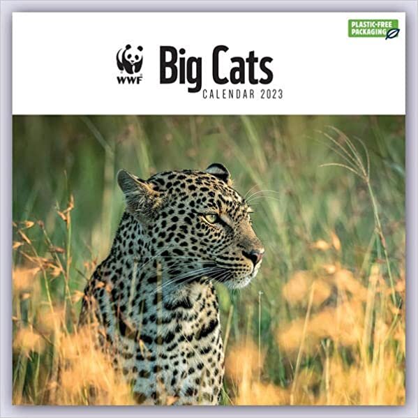 WWF Big Cats - Raubkatzen 2023: Original Carousel-Kalender [Mehrsprachig] [Kalender] ダウンロード