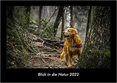 Blick in die Natur 2022 Fotokalender DIN A3: Monatskalender mit Bild-Motiven aus Fauna und Flora, Natur, Blumen und Pflanzen ダウンロード