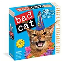 2022 Bad Cat