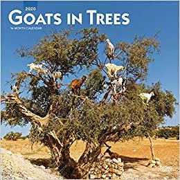 Goats in Trees 2020 Calendar ダウンロード