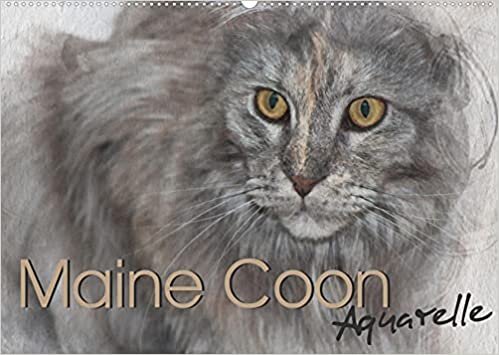 Maine Coon Aquarelle (Wandkalender 2022 DIN A2 quer): Kunstvolle Portraits der begehrten Katzenrasse Maine Coon (Monatskalender, 14 Seiten )