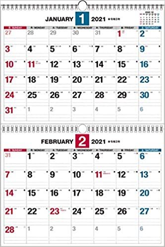 ダウンロード  2021年 ダブルリング式2ヵ月シンプルカレンダー B3【K13】 ([カレンダー]) 本