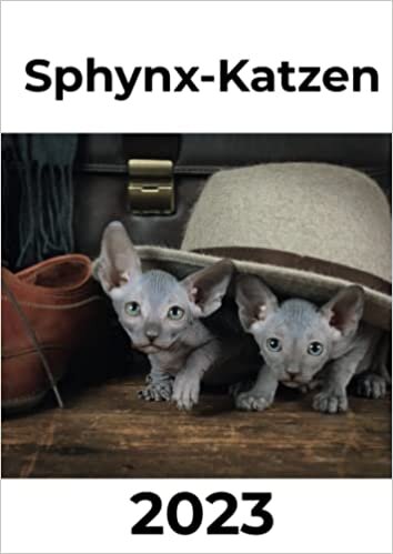 تحميل Sphynx-Katzen 2023: Kalender / Broschürenkalender / Tischkalender für das Jahr 23 - das perfekte Geschenk für Freunde, Kollegen, zu Weihnachten und Geburtstag