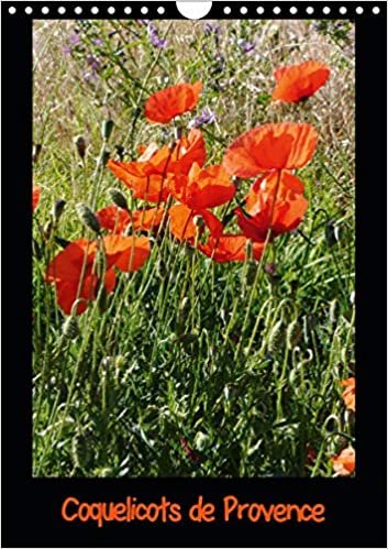 Coquelicots de Provence (Calendrier mural 2021 DIN A4 vertical): Photos des coquelicots de Provence (Calendrier mensuel, 14 Pages ) ダウンロード