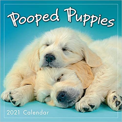 Pooped Puppies 2021 Calendar indir