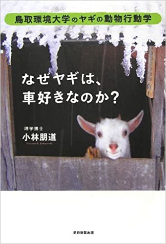 なぜヤギは、車好きなのか? 鳥取環境大学のヤギの動物行動学