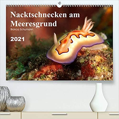 Nacktschnecken am Meeresgrund (Premium, hochwertiger DIN A2 Wandkalender 2021, Kunstdruck in Hochglanz): In tropischen Meeren tummeln sich viele verschiedene Nacktschnecken. (Monatskalender, 14 Seiten )