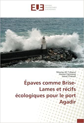 indir Épaves comme Brise-Lames et récifs écologiques pour le port Agadir (OMN.UNIV.EUROP.)