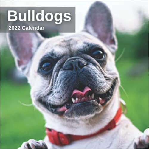 The Educators Bulldog 2022 Calendar - 12 Months of High-Resolution Bulldog Photos For Pet Lovers, Including Official Holiday Prompts - US/UK | English, French Bulldog Calendar تكوين تحميل مجانا The Educators تكوين
