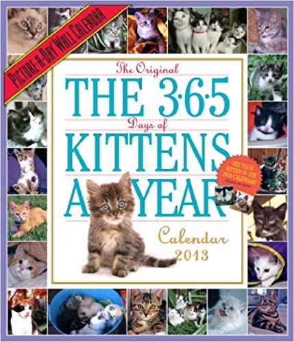 The 365 Days of Kittens a Year 2013 Calendar (Picture a Day Wall Calendar)