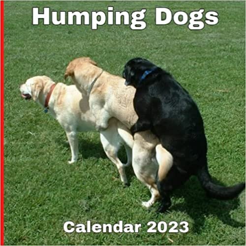 Humping dogs calendar 2023: Funny gift for the year 2023