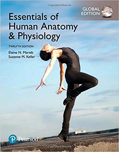 تحميل Essentials of Human Anatomy &amp; Physiology, Global Edition