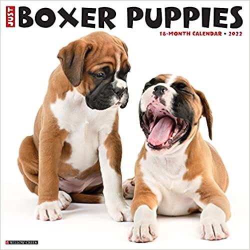 ダウンロード  Just Boxer Puppies 2022 Wall Calendar 本