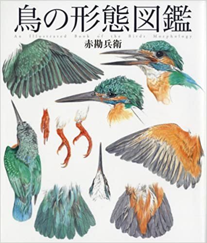鳥の形態図鑑 (細密画シリーズ)