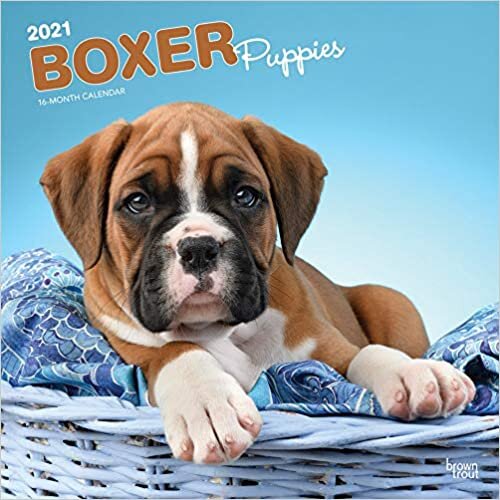 ダウンロード  Boxer Puppies 2021 Calendar 本