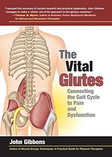 ダウンロード  The Vital Glutes: Connecting the Gait Cycle to Pain and Dysfunction (English Edition) 本