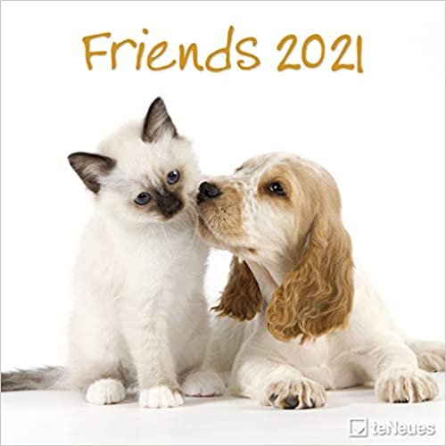 Friends 2021 - Wand-Kalender - Broschüren-Kalender - 30x30 - 30x60 geöffnet - Tier-Kalender indir