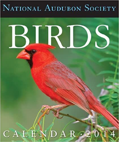 National Audubon Society Birds Gallery 2014 Calendar ダウンロード