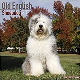 Old English Sheepdog 2021 Wall Calendar