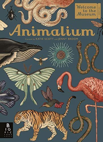 Animalium (Welcome To The Museum) (English Edition)