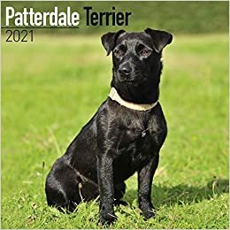 ダウンロード  Patterdale Terrier 2021 Wall Calendar 本
