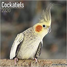ダウンロード  Cockatiels Calendar 2020 本