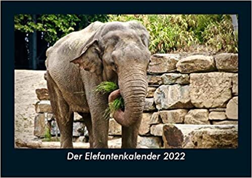 ダウンロード  Der Elefantenkalender 2022 Fotokalender DIN A5: Monatskalender mit Bild-Motiven von Haustieren, Bauernhof, wilden Tieren und Raubtieren 本