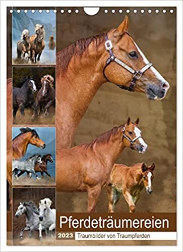 Pferdetraeumereien - Traumbilder von Traumpferden (Wandkalender 2023 DIN A4 hoch): Faszinierende, nicht alltaegliche Bilder von verschiedenen Pferderassen (Planer, 14 Seiten )