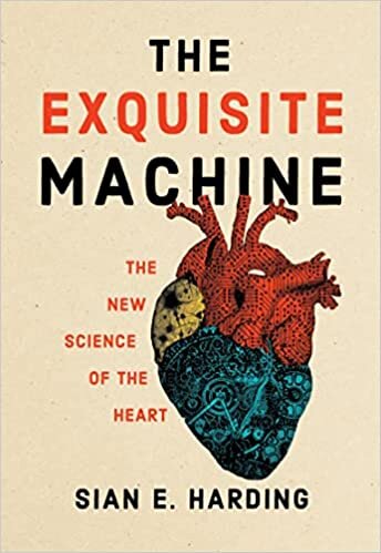 تحميل The Exquisite Machine: The New Science of the Heart