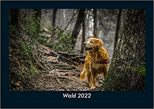 ダウンロード  Wald 2022 Fotokalender DIN A5: Monatskalender mit Bild-Motiven aus Fauna und Flora, Natur, Blumen und Pflanzen 本