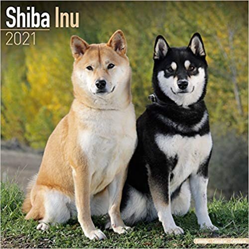 ダウンロード  Shiba Inu 2021 Wall Calendar 本