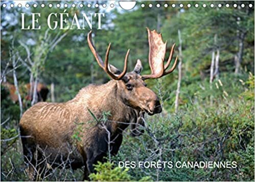 ダウンロード  LE GÉANT DES FORÊTS CANADIENNES (Calendrier mural 2023 DIN A4 horizontal): 13 nouvelles photos d'orignaux prises au Canada (Calendrier mensuel, 14 Pages ) 本