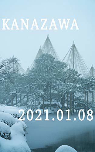 ダウンロード  大雪の金沢: 2021年1月8日 本