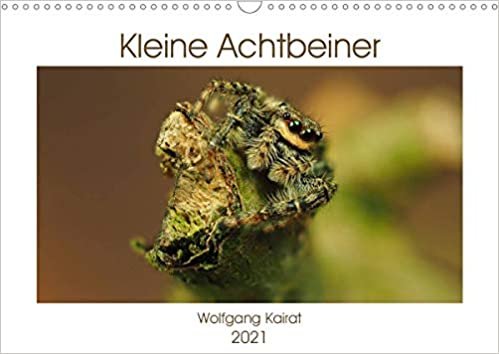 ダウンロード  Kleine Achtbeiner (Wandkalender 2021 DIN A3 quer): Spinnen unserer Heimat, aesthetisch fotografiert (Monatskalender, 14 Seiten ) 本