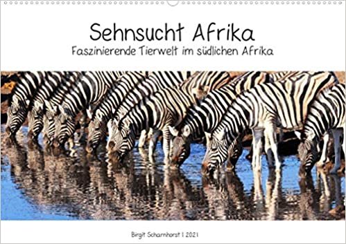 Sehnsucht Afrika - Faszinierende Tierwelt im suedlichen Afrika (Wandkalender 2021 DIN A2 quer): Begegnungen mit Afrikas Tierwelt (Monatskalender, 14 Seiten )