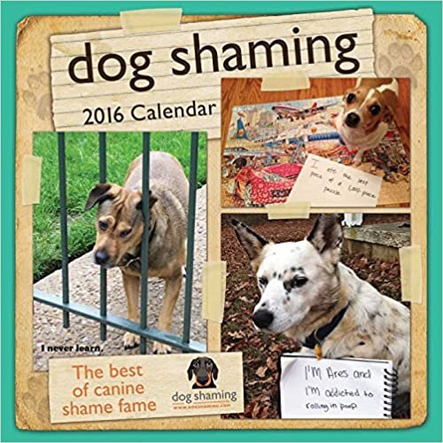 ダウンロード  Dog Shaming 2016 Wall Calendar 本