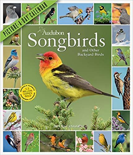 Audubon Songbirds and Other Backyard Birds 2021 Calendar