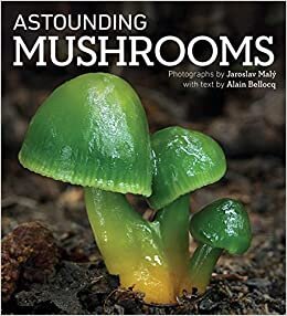 تحميل Astounding Mushrooms