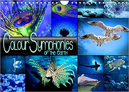 Colour Symphonies of the Earth (Wall Calendar 2023 DIN A4 Landscape): Atmospheric collages in fascinating colour combinations (Monthly calendar, 14 pages ) ダウンロード