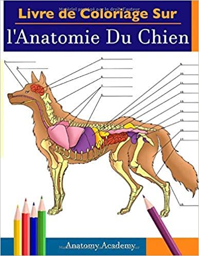 ダウンロード  Livre de Coloriage Sur l'Anatomie Du Chien: Un Cahier d'Exercices d'Anatomie Canine Incroyablement Détaillé et Coloré| Le Cadeau Idéal Pour les étudiants en Médecine Vétérinaire, les Amateurs de Chiens et les Adultes 本