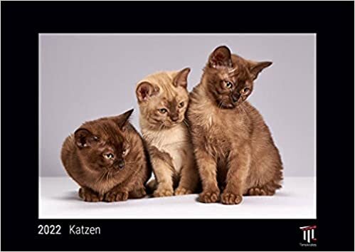 ダウンロード  Katzen 2022 - Black Edition - Timokrates Kalender, Wandkalender, Bildkalender - DIN A3 (42 x 30 cm) 本