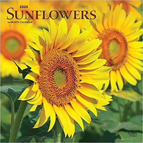 تحميل Sunflowers 2020 Square Wall Calendar