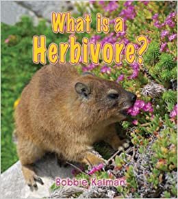 What Is a Herbivore? (Big Science Ideas) ダウンロード