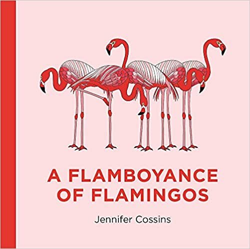 indir A Flamboyance of Flamingos