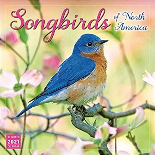 ダウンロード  Songbirds of North America 2021 Calendar 本