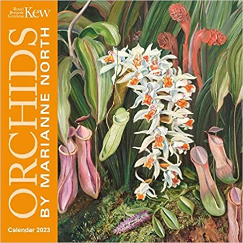 تحميل Kew Gardens: Orchids by Marianne North Mini Wall Calendar 2023 (Art Calendar)