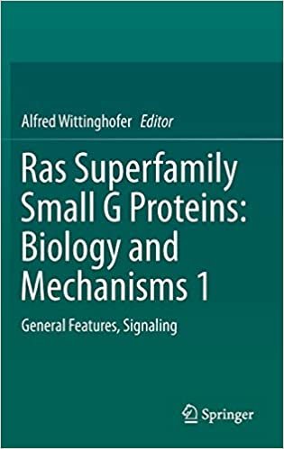 indir Ras Superfamily Small G Proteins: Biology and Mechanisms 1: General Features, Signaling