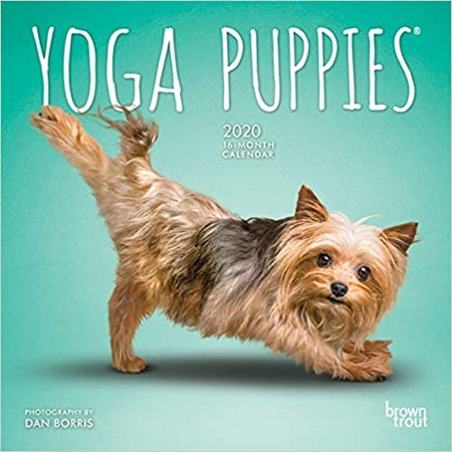 ダウンロード  Yoga Puppies 2020 Calendar 本